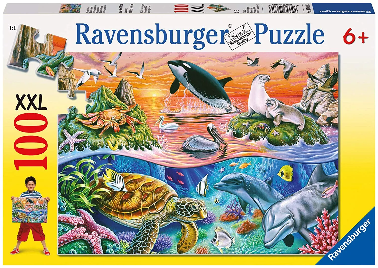 100 PC Beautiful Ocean
