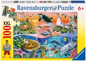 100 PC Beautiful Ocean