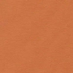 Big Sur Canvas Veggie Orange