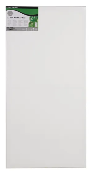Daler Rowney Simply Stretched Canvas 50*100cm/20*40"