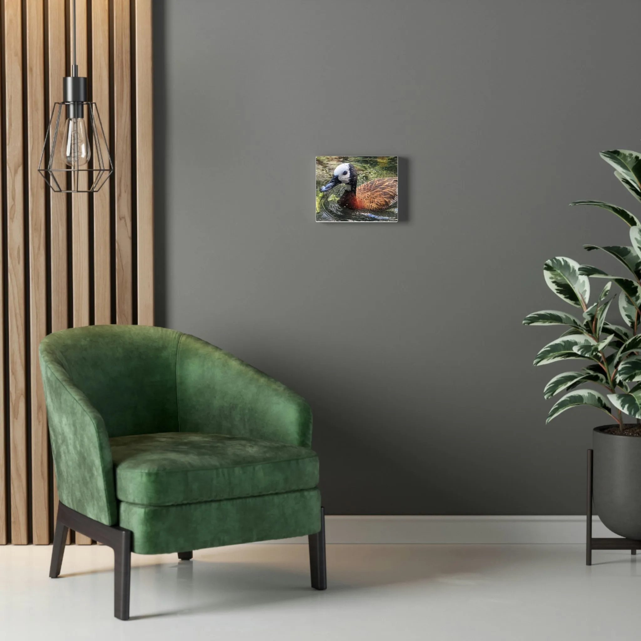 Duck Stretched Canvas