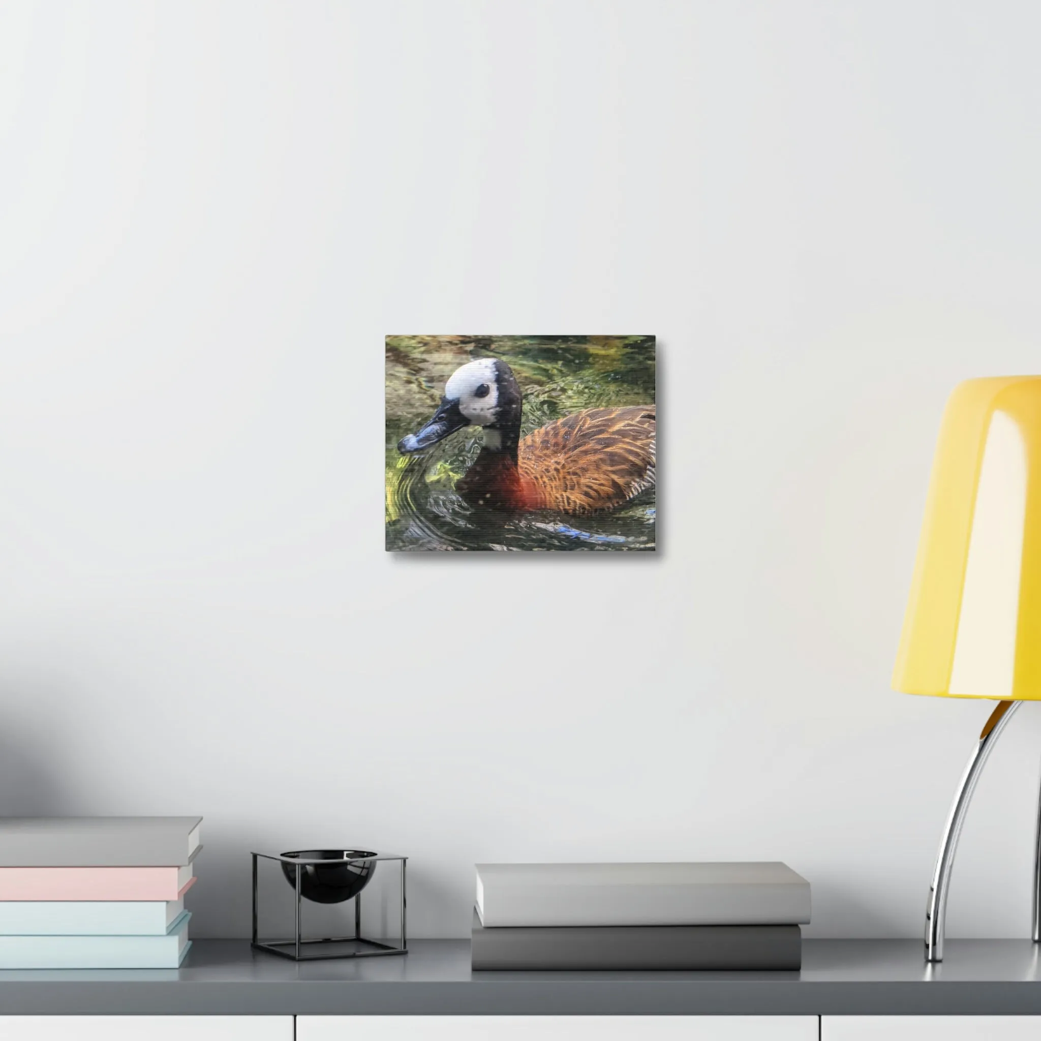 Duck Stretched Canvas