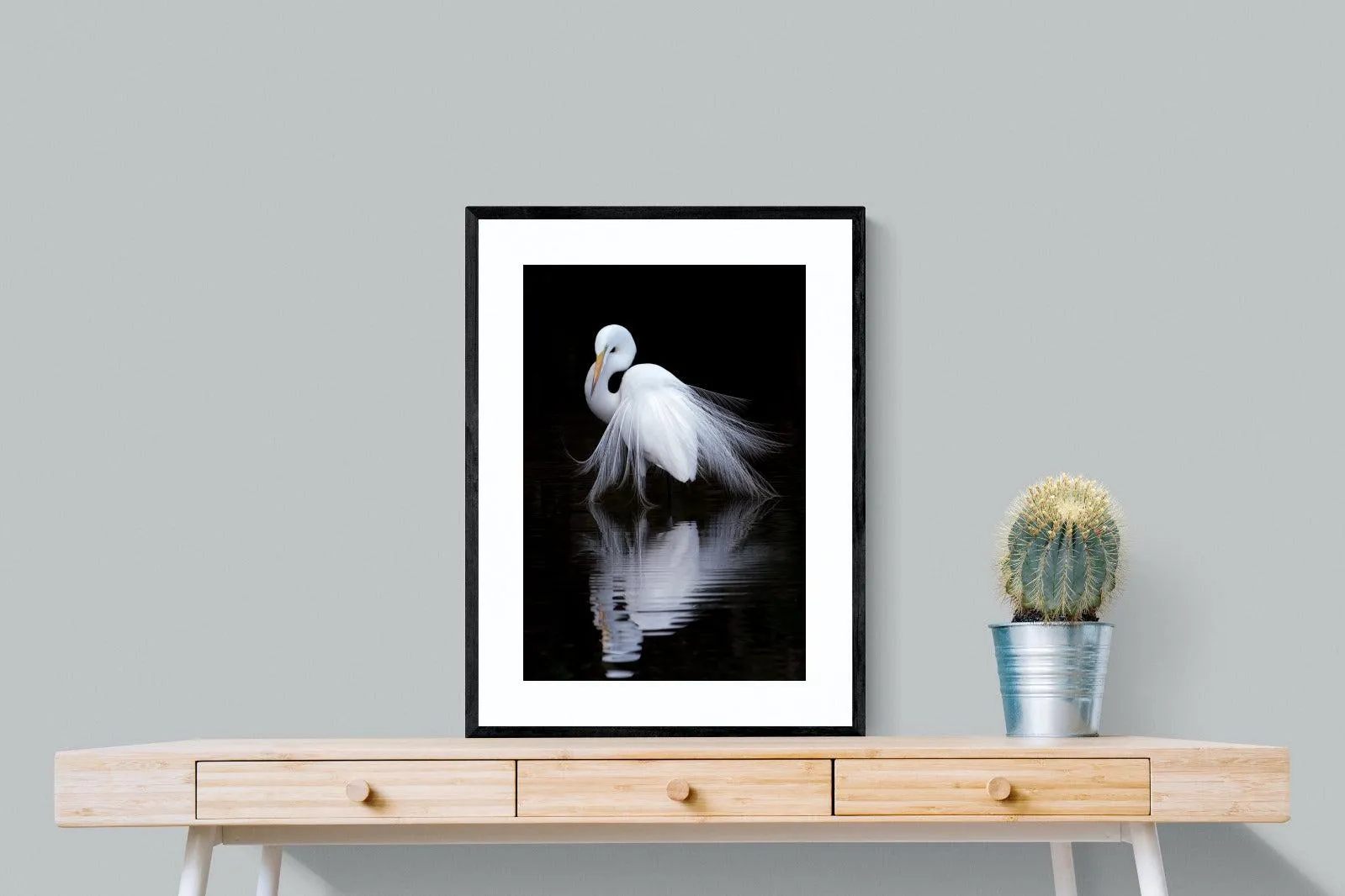 Feathered Reflection
