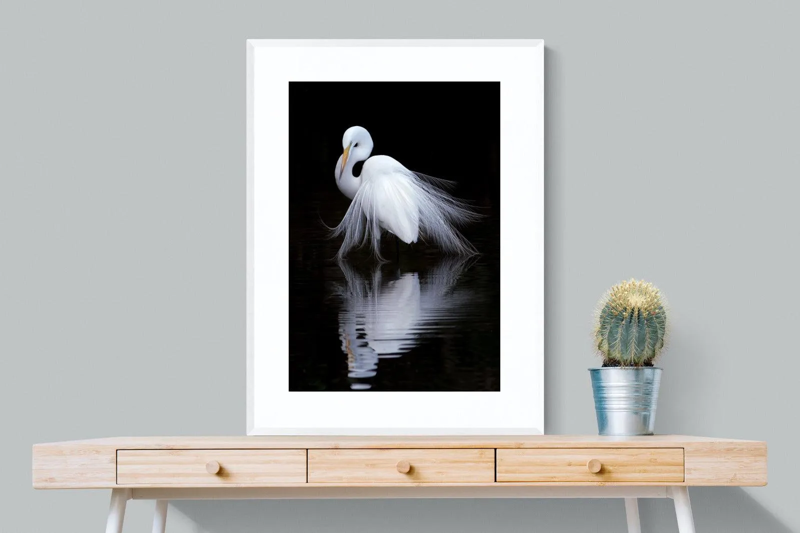 Feathered Reflection