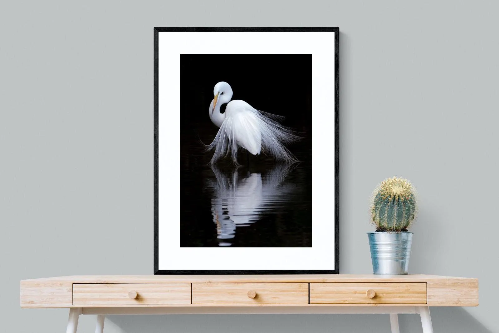 Feathered Reflection
