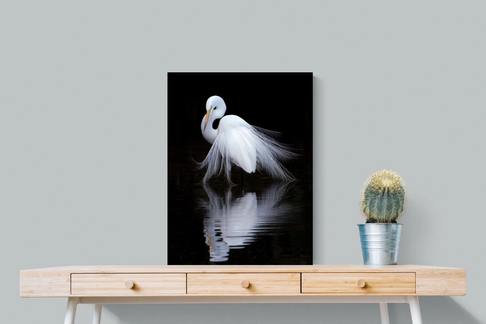 Feathered Reflection