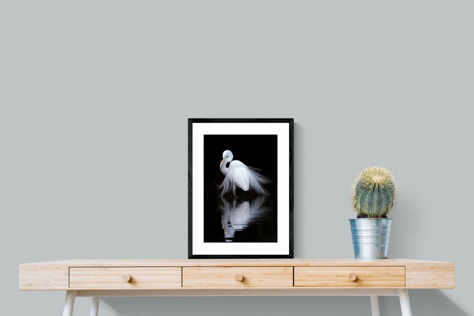 Feathered Reflection