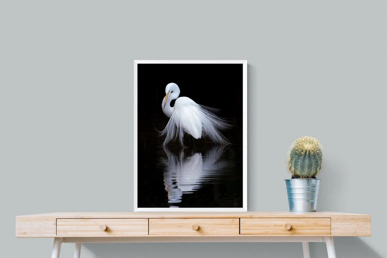Feathered Reflection