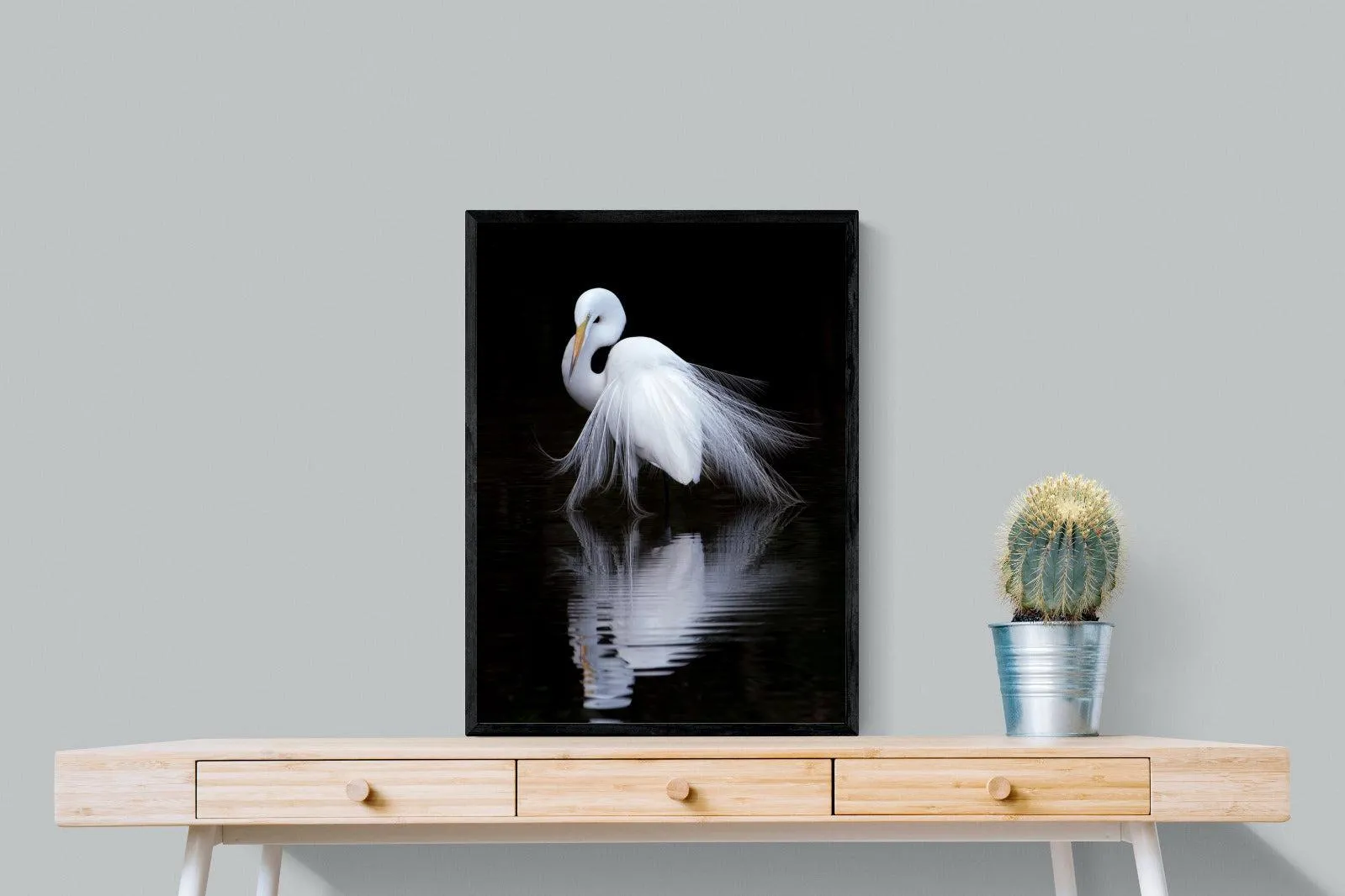 Feathered Reflection