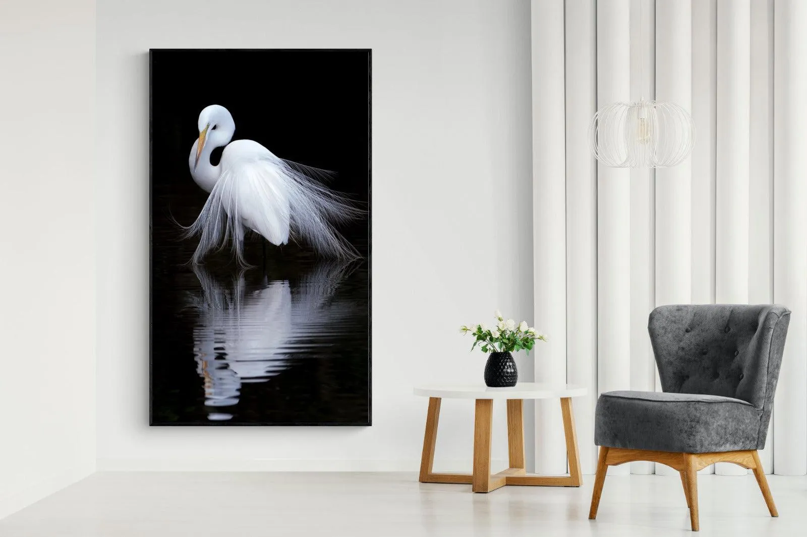 Feathered Reflection