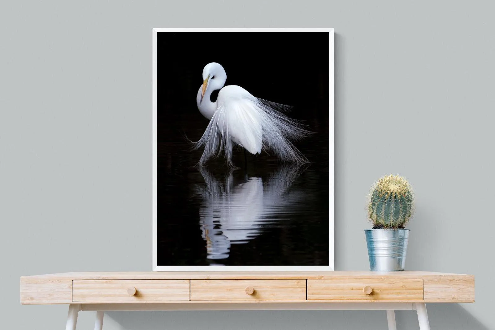 Feathered Reflection