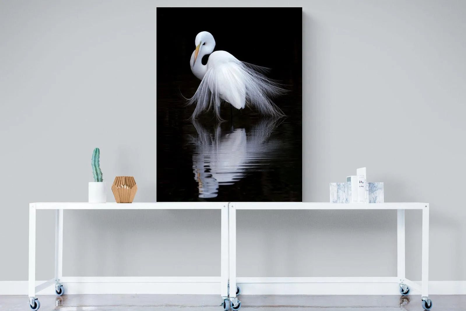 Feathered Reflection