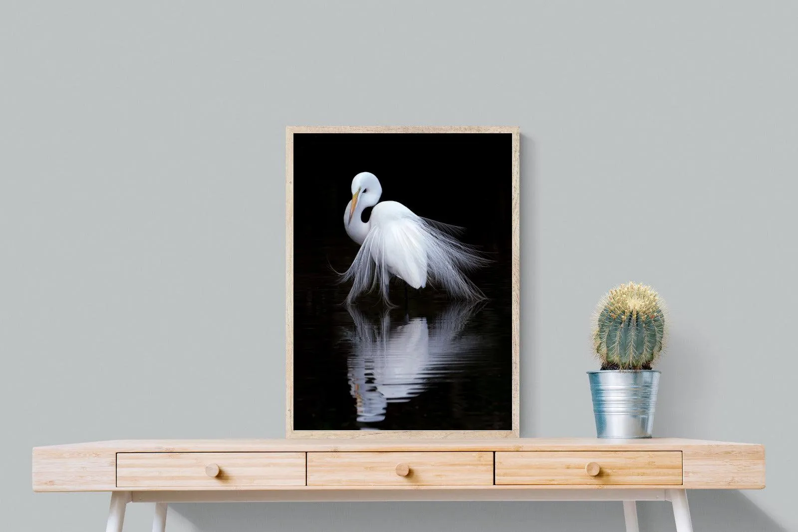 Feathered Reflection