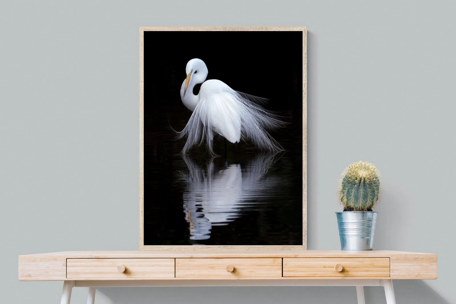 Feathered Reflection