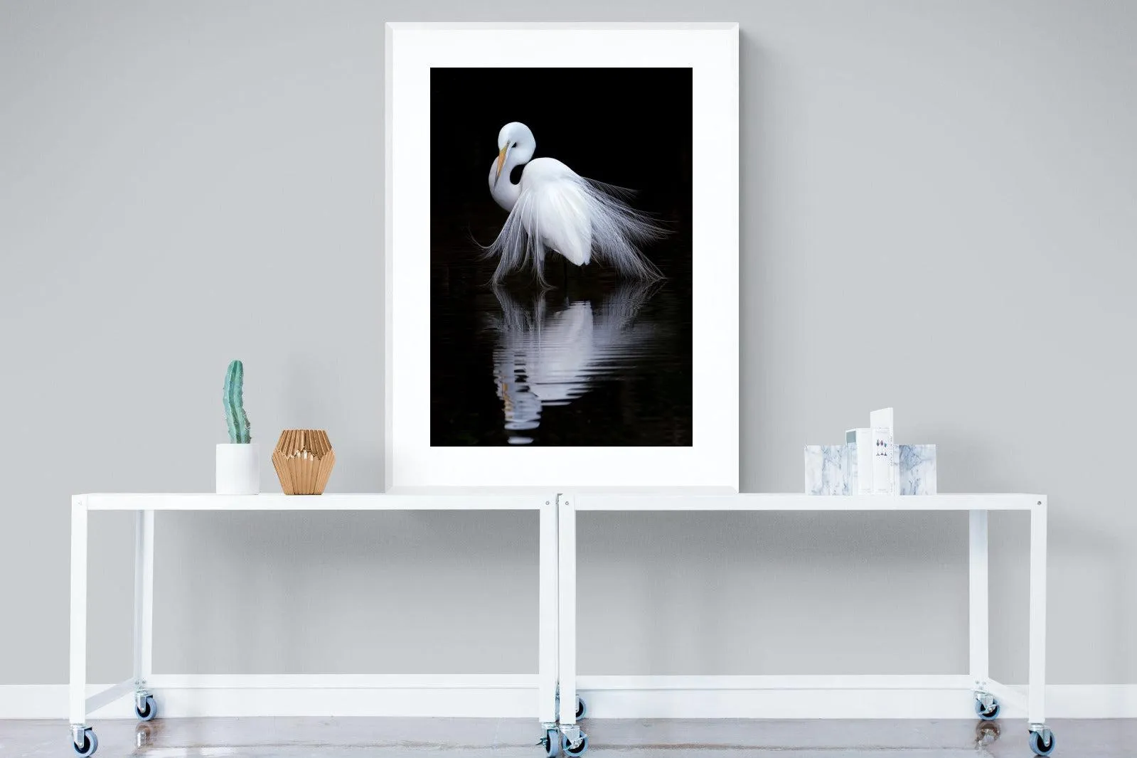 Feathered Reflection