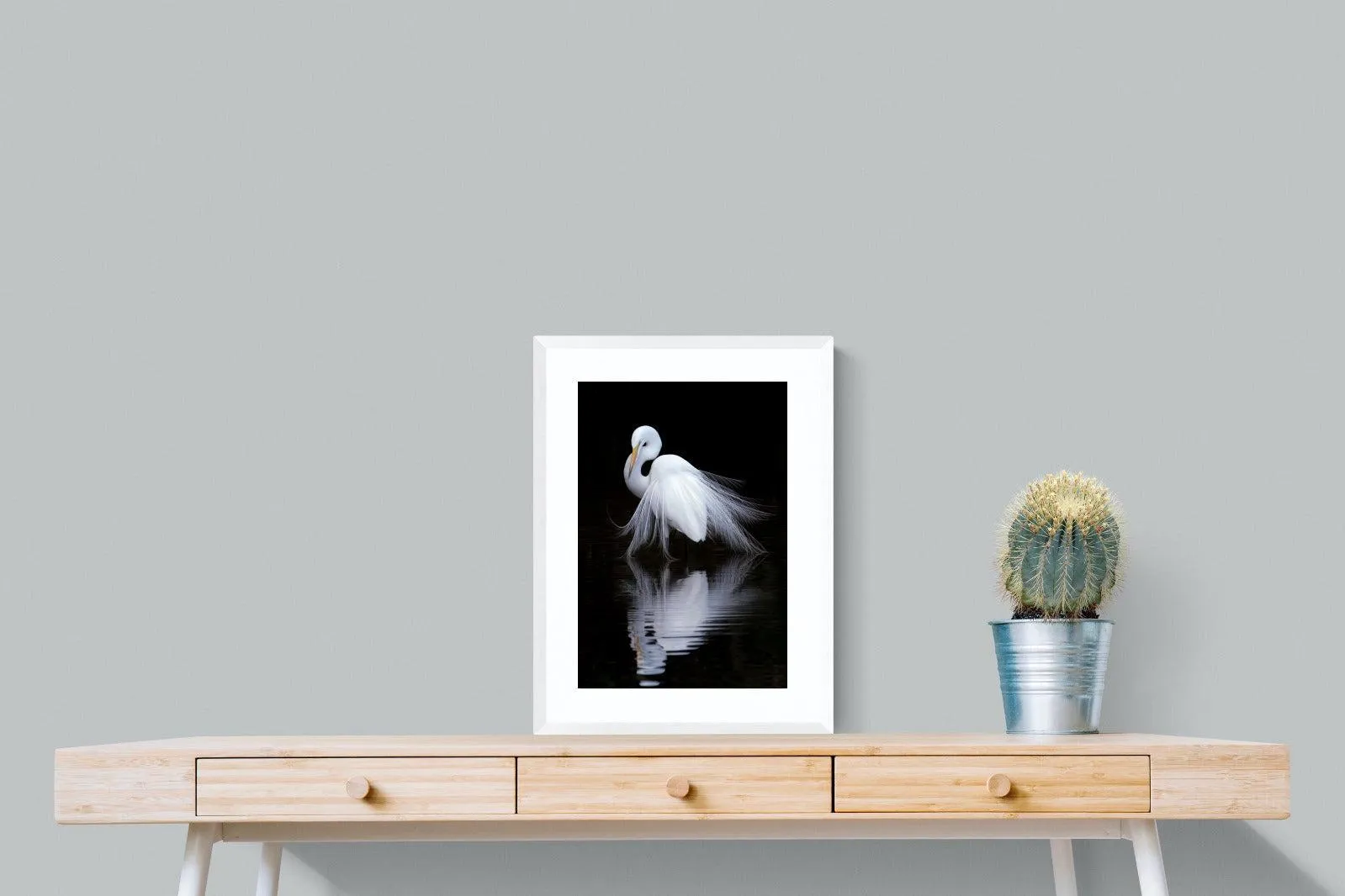 Feathered Reflection
