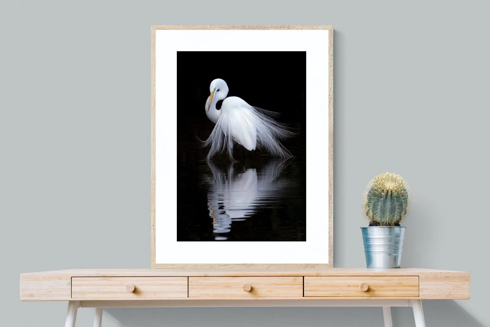 Feathered Reflection