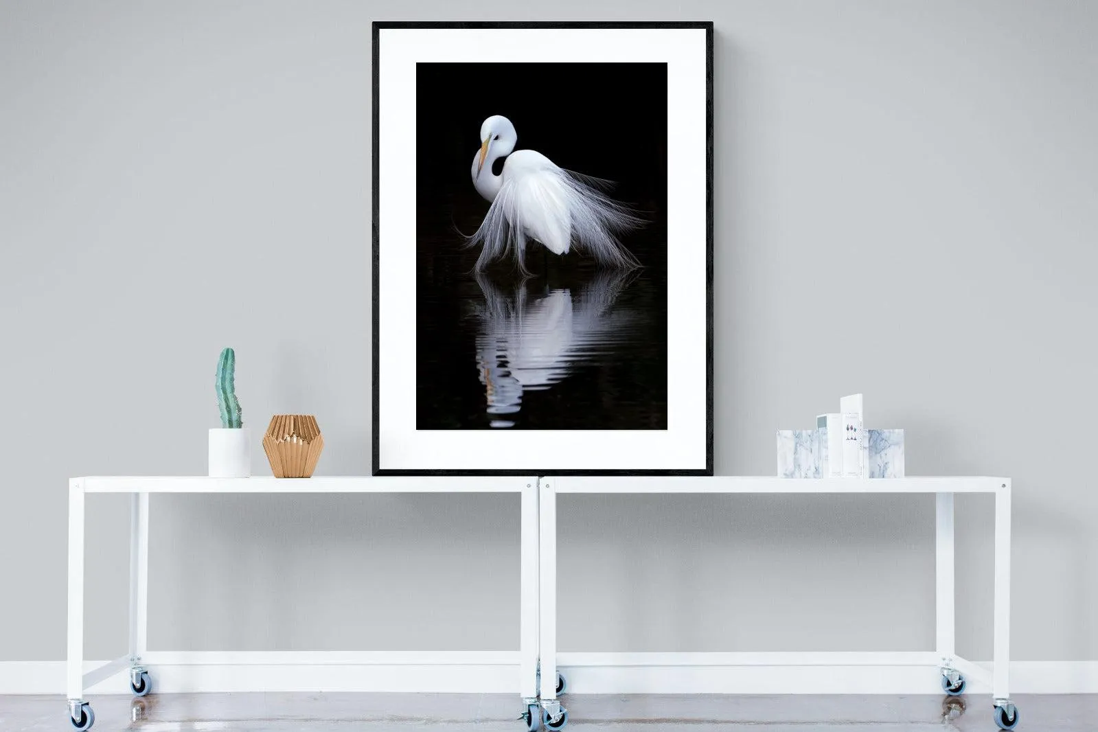 Feathered Reflection