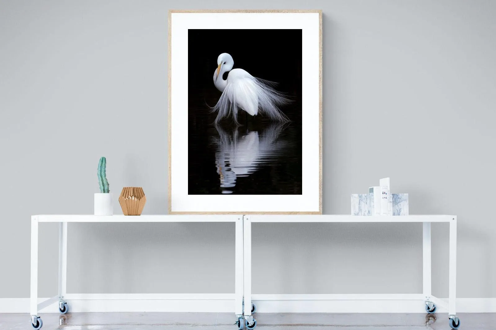 Feathered Reflection