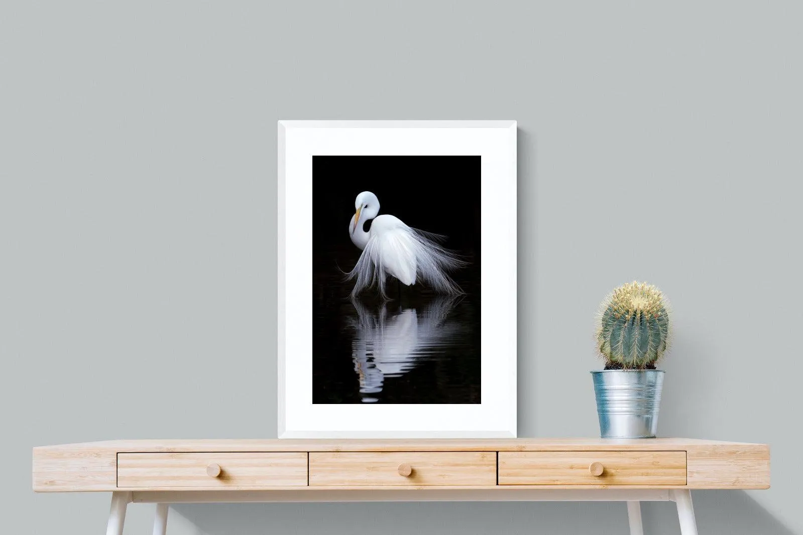 Feathered Reflection