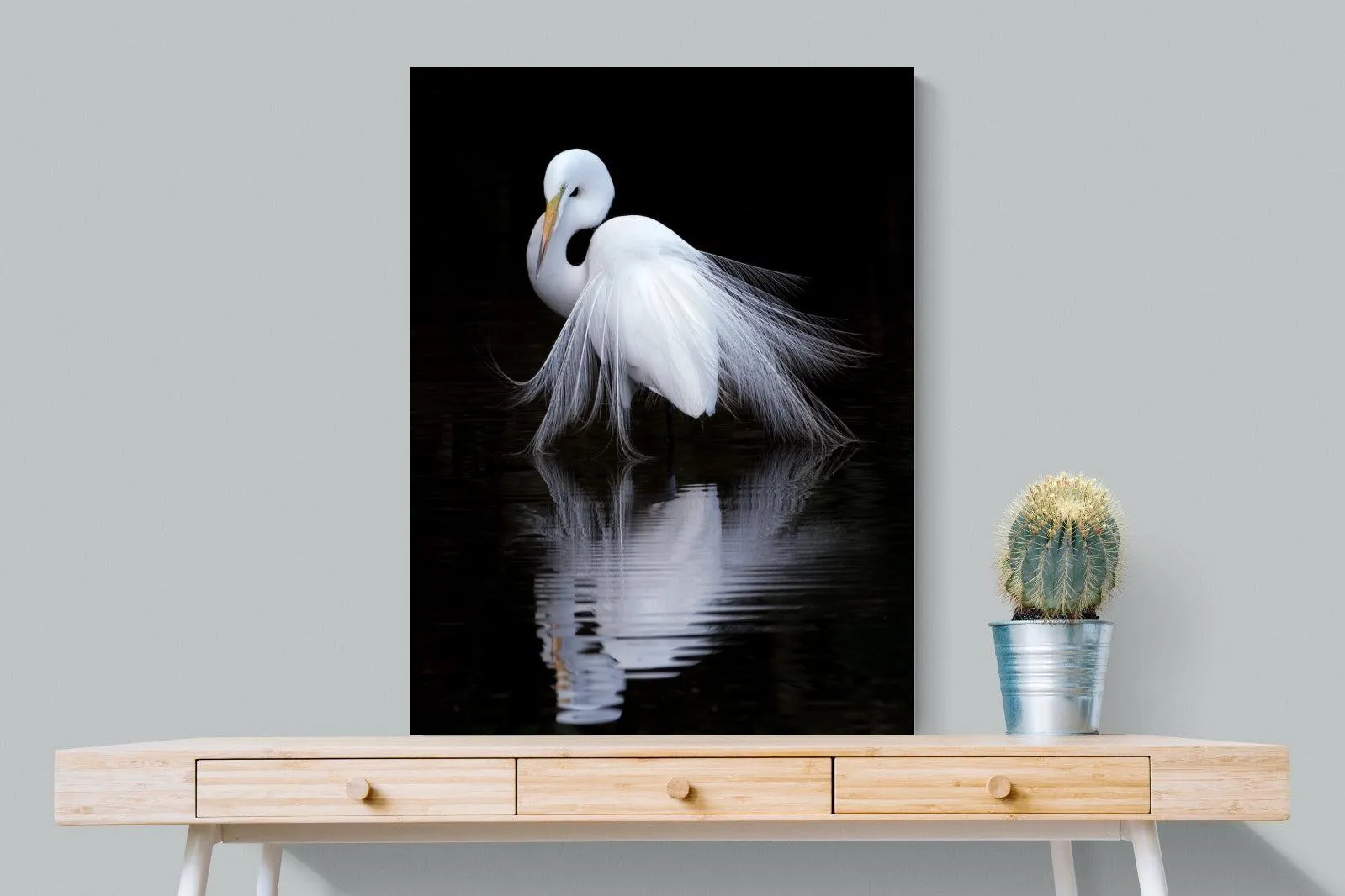 Feathered Reflection