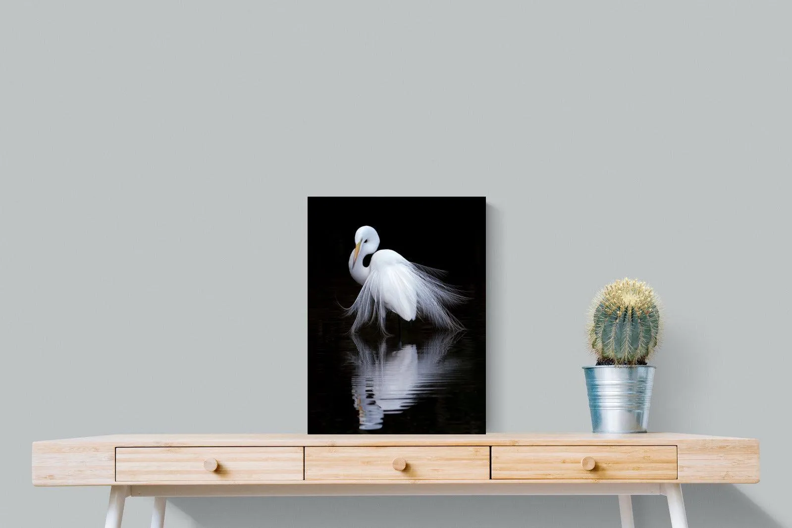 Feathered Reflection