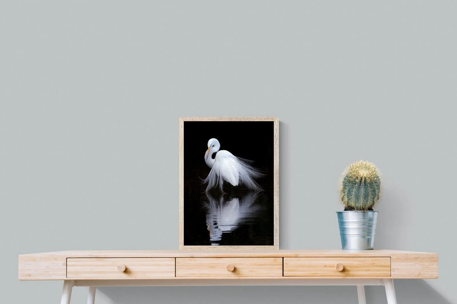 Feathered Reflection