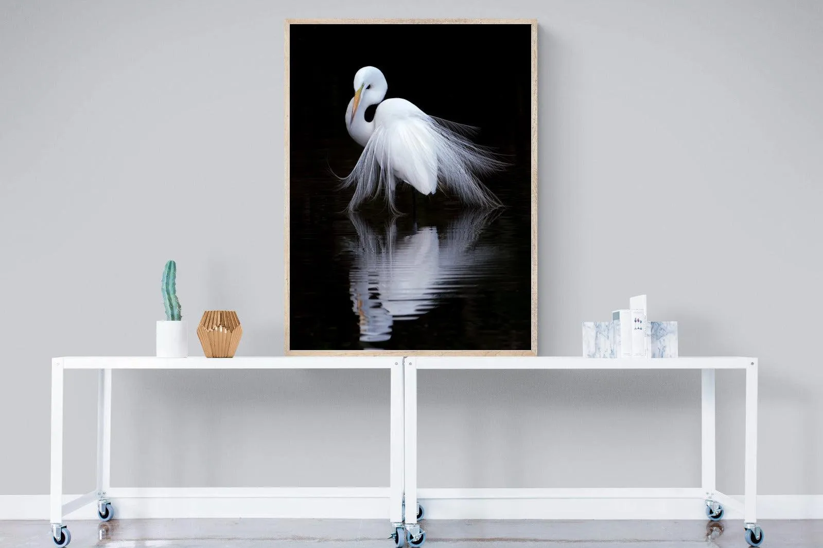 Feathered Reflection