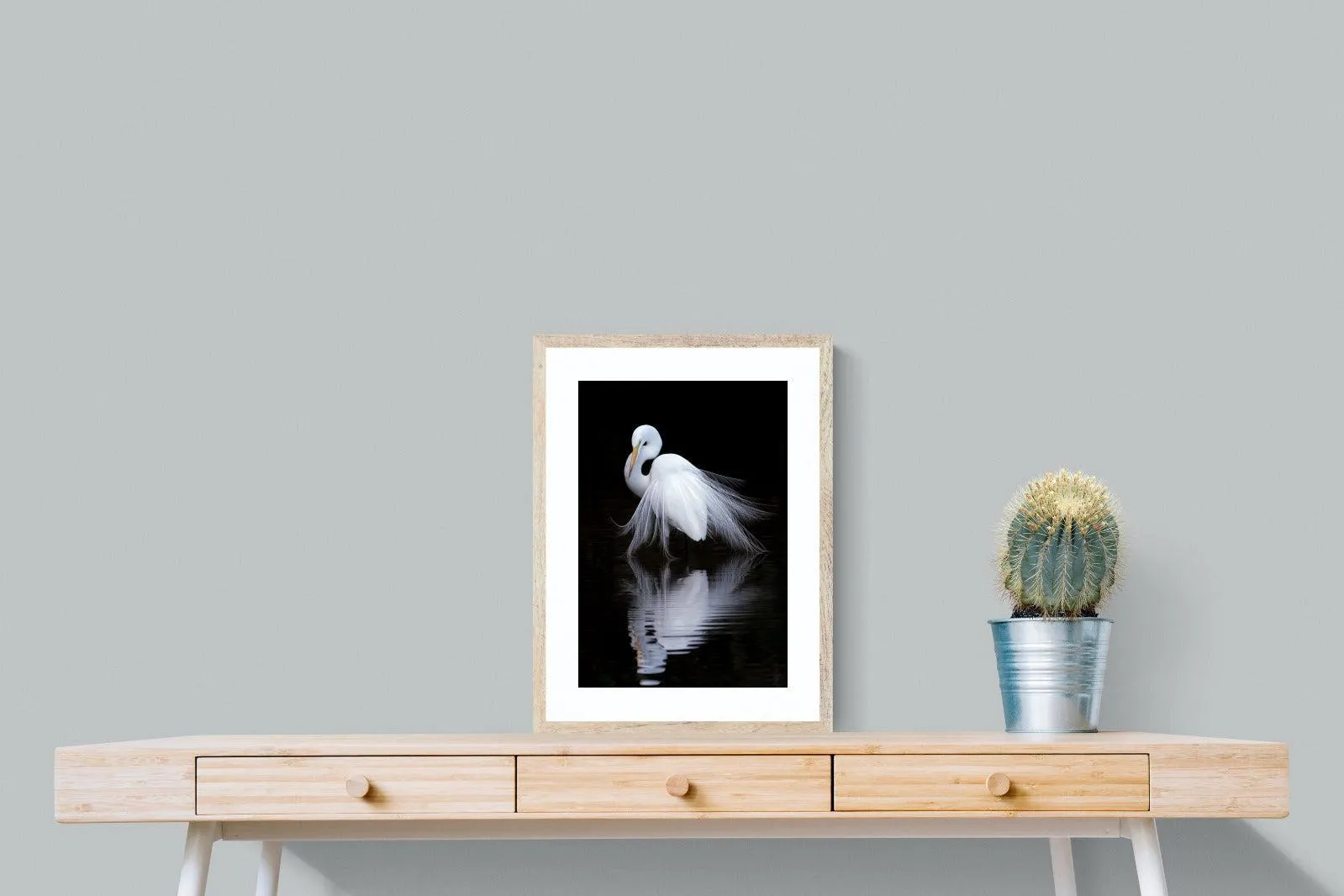 Feathered Reflection