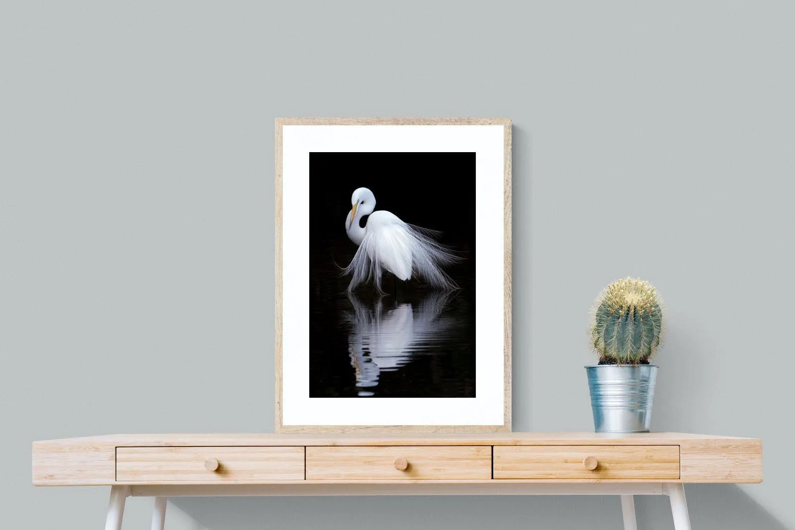 Feathered Reflection