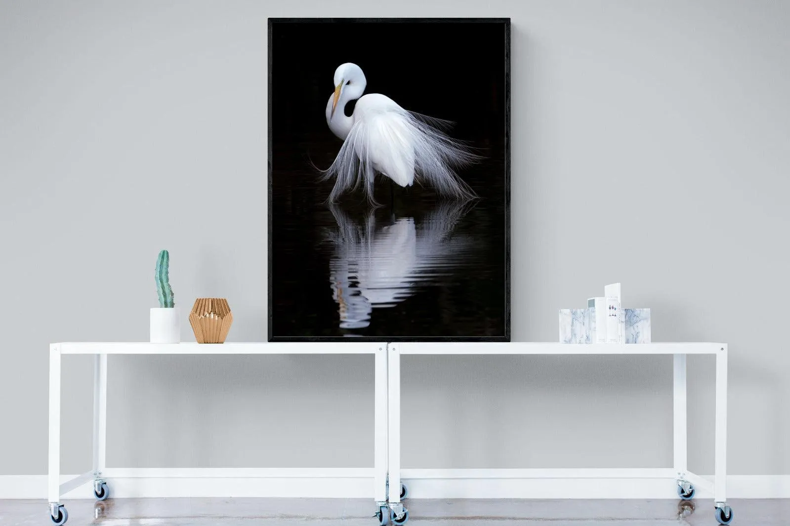Feathered Reflection
