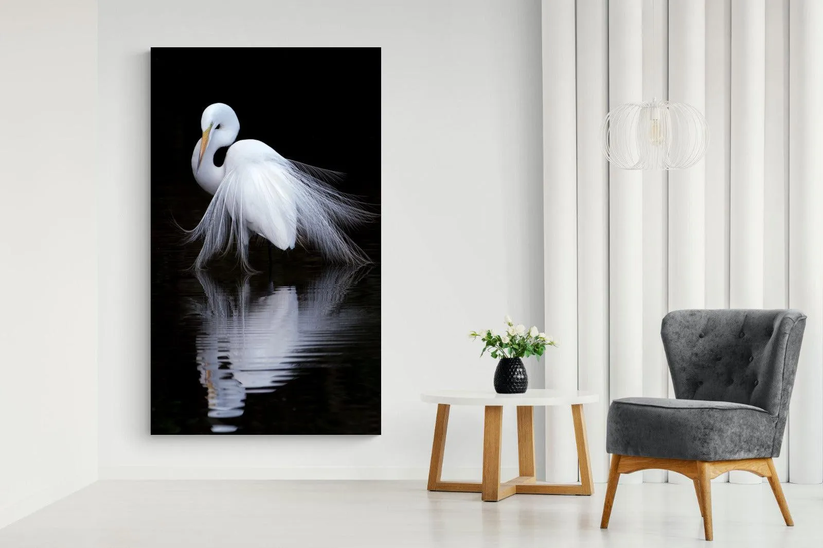 Feathered Reflection