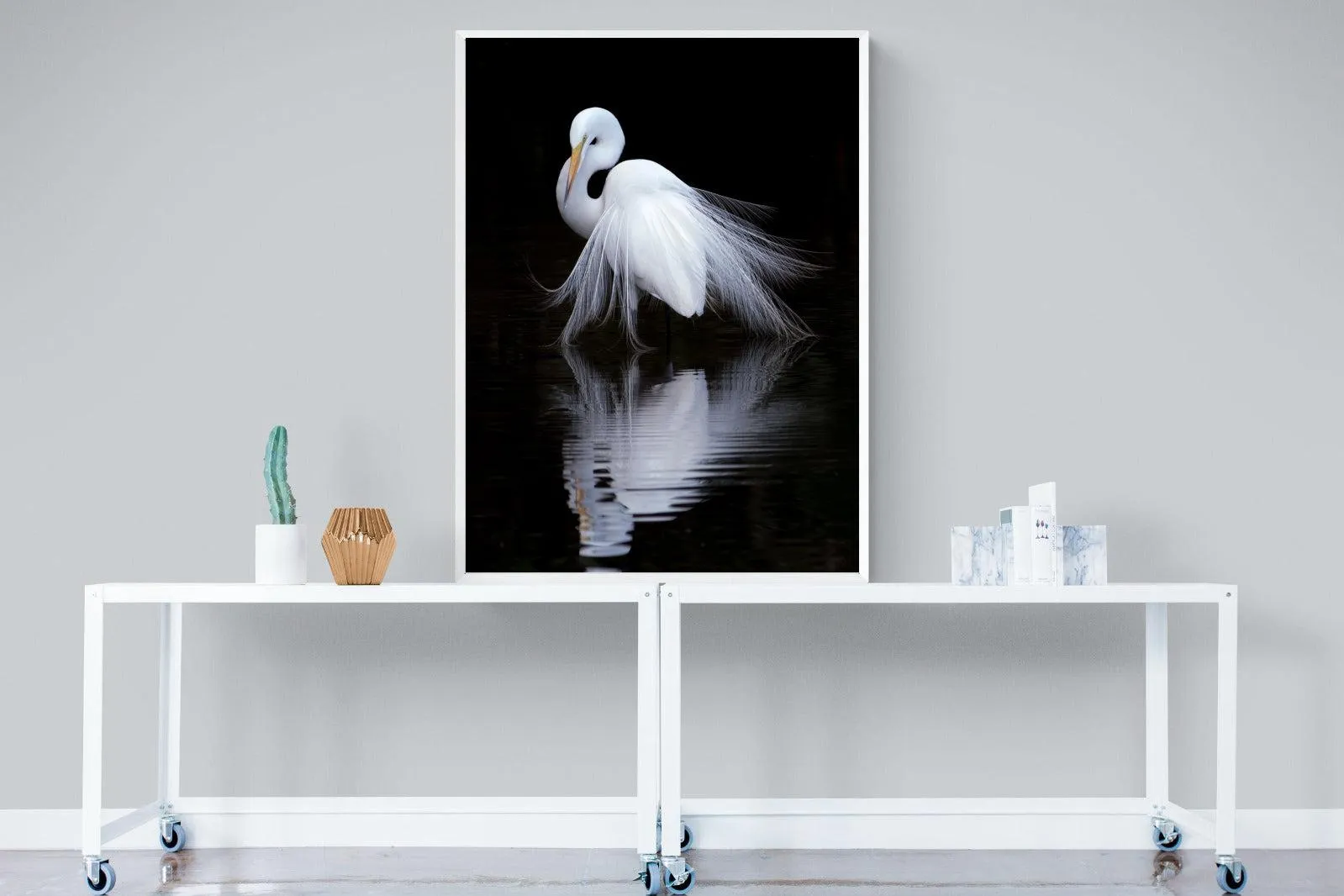 Feathered Reflection