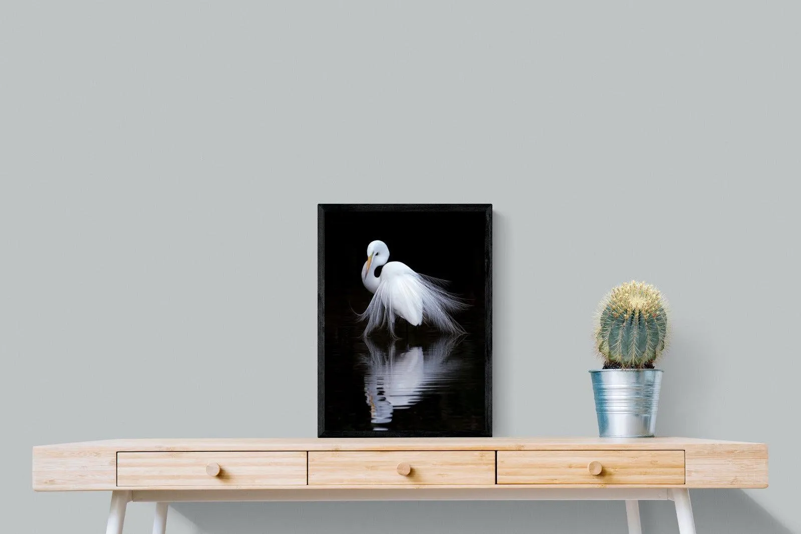Feathered Reflection