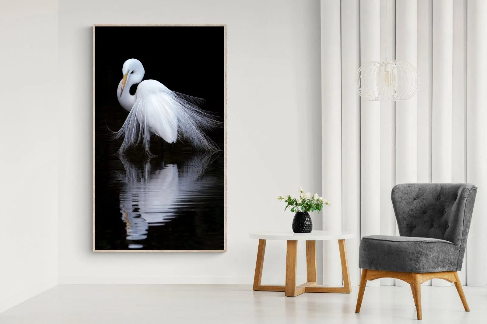 Feathered Reflection