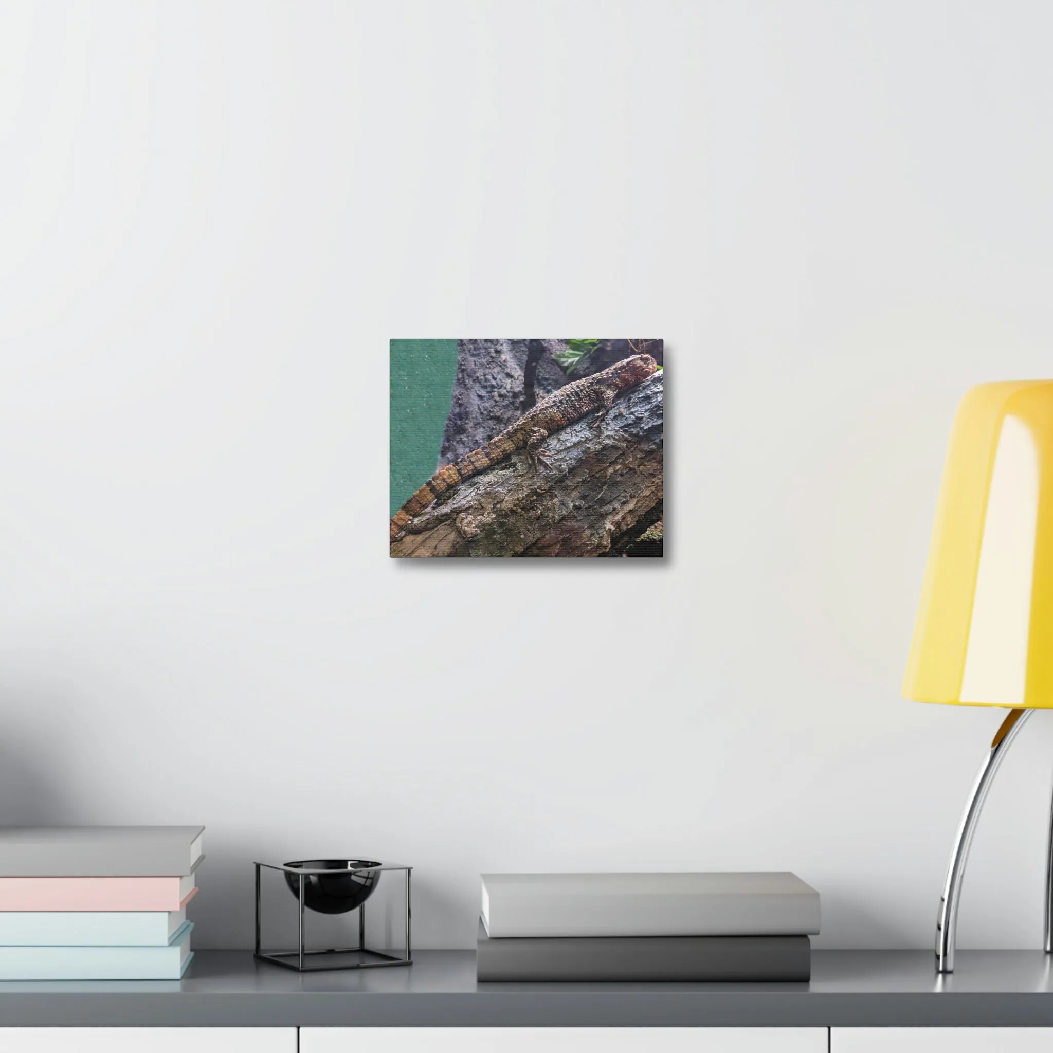Lizard Stretched Canvas