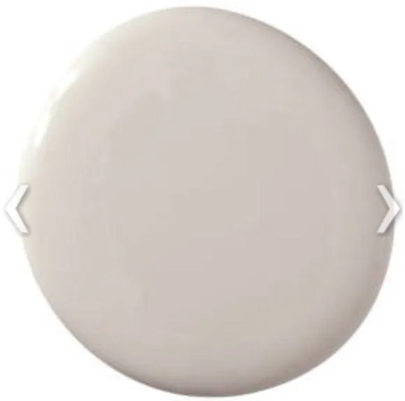 REGAL SELECT INTERIOR MATTE WHITE PAINT
