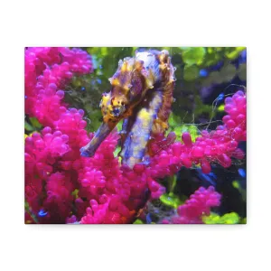 Seahorse Stretched Canvas