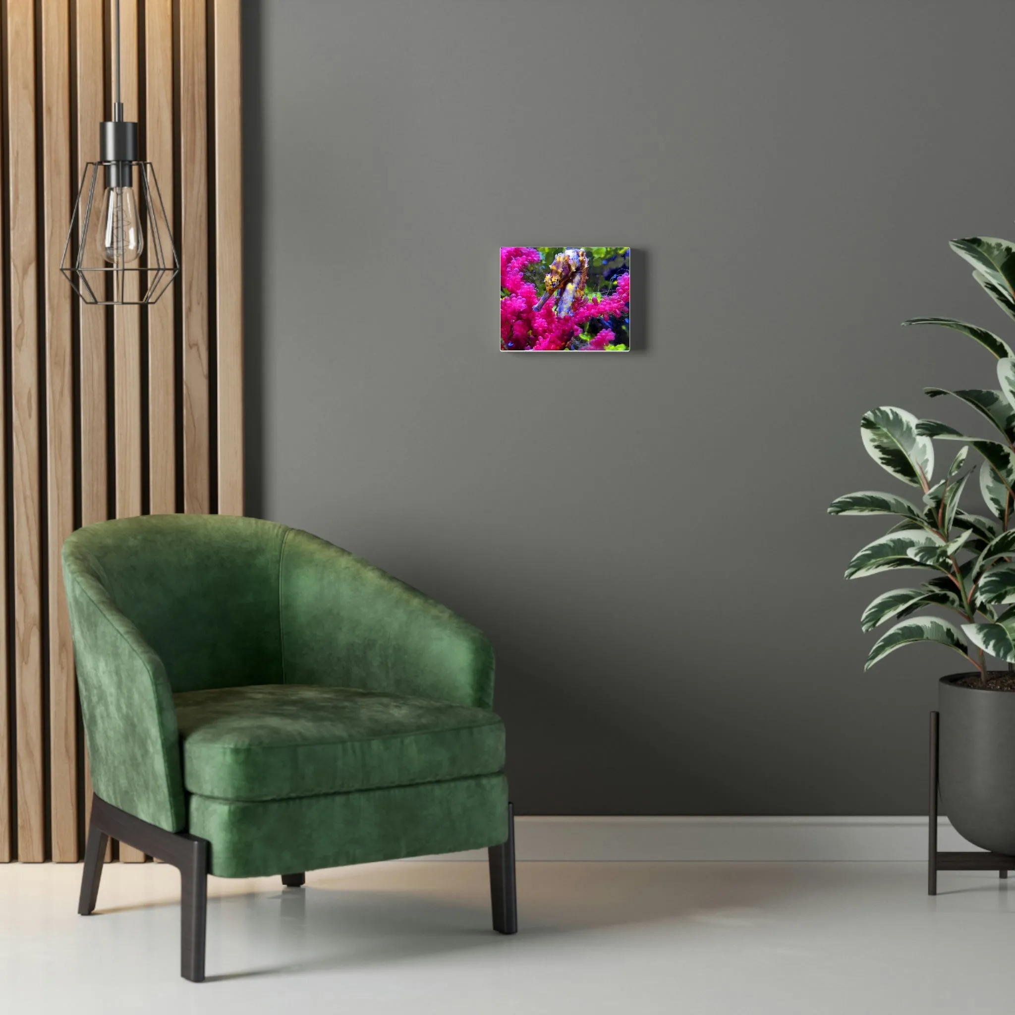 Seahorse Stretched Canvas