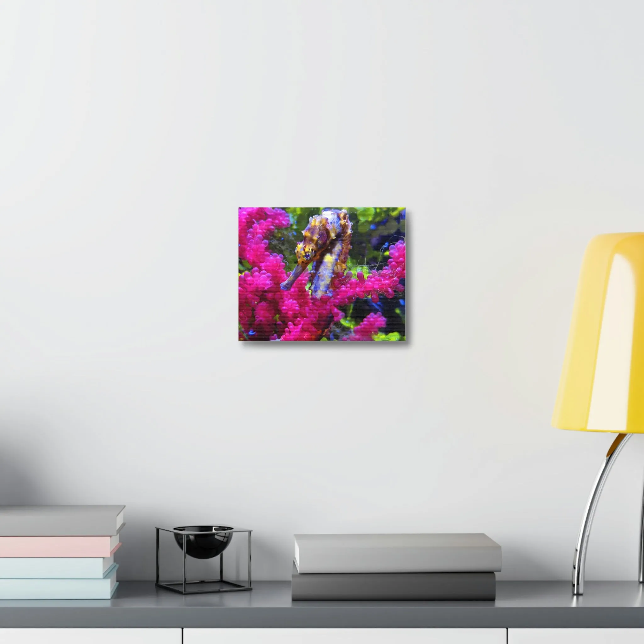 Seahorse Stretched Canvas