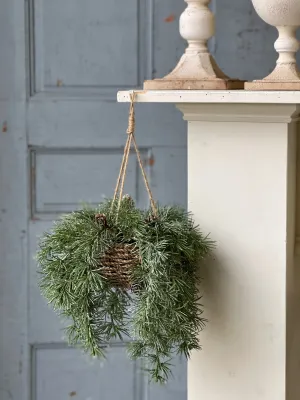 Shining Spindle Pine Hanging Basket | 13"