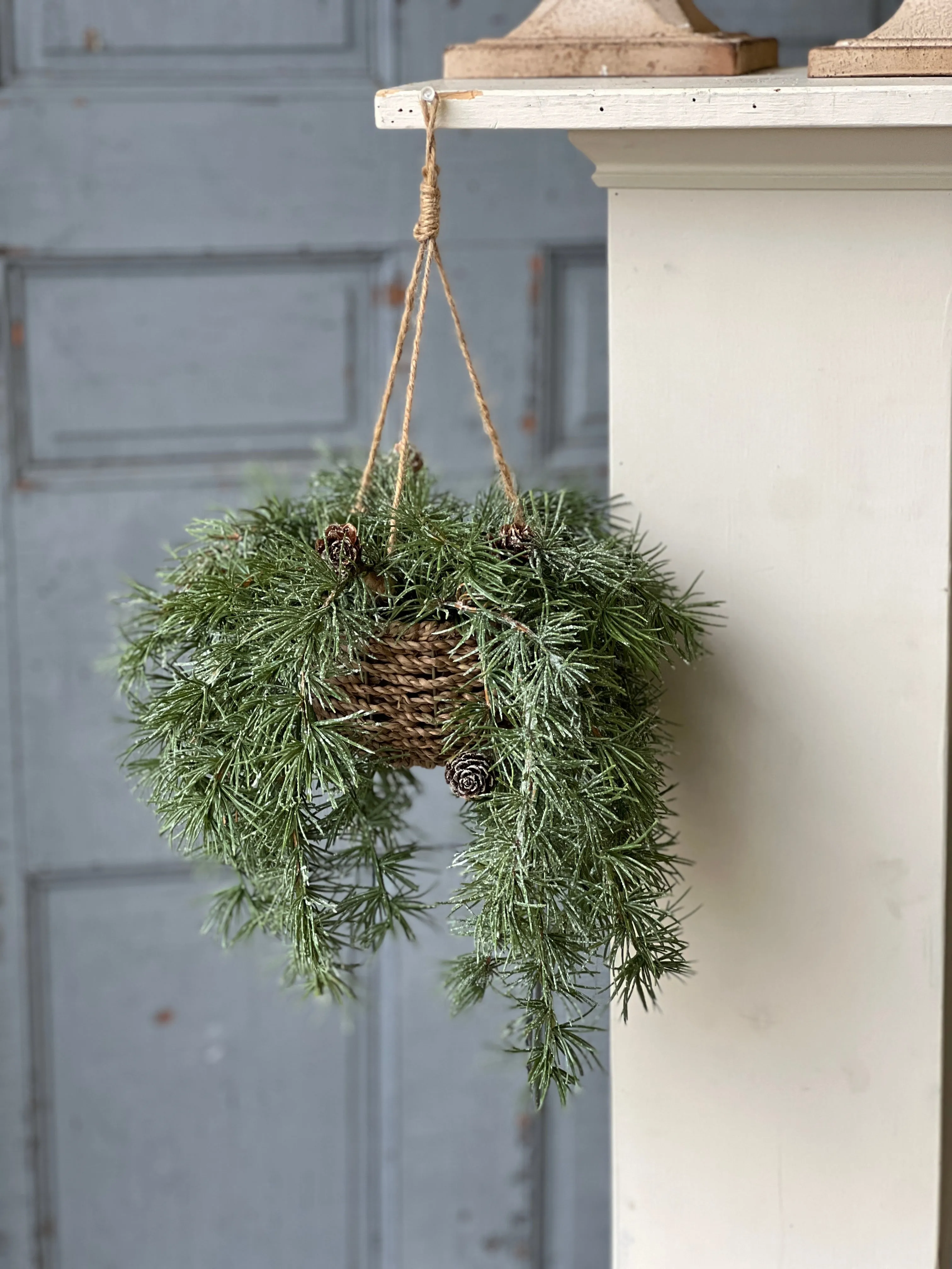 Shining Spindle Pine Hanging Basket | 13"