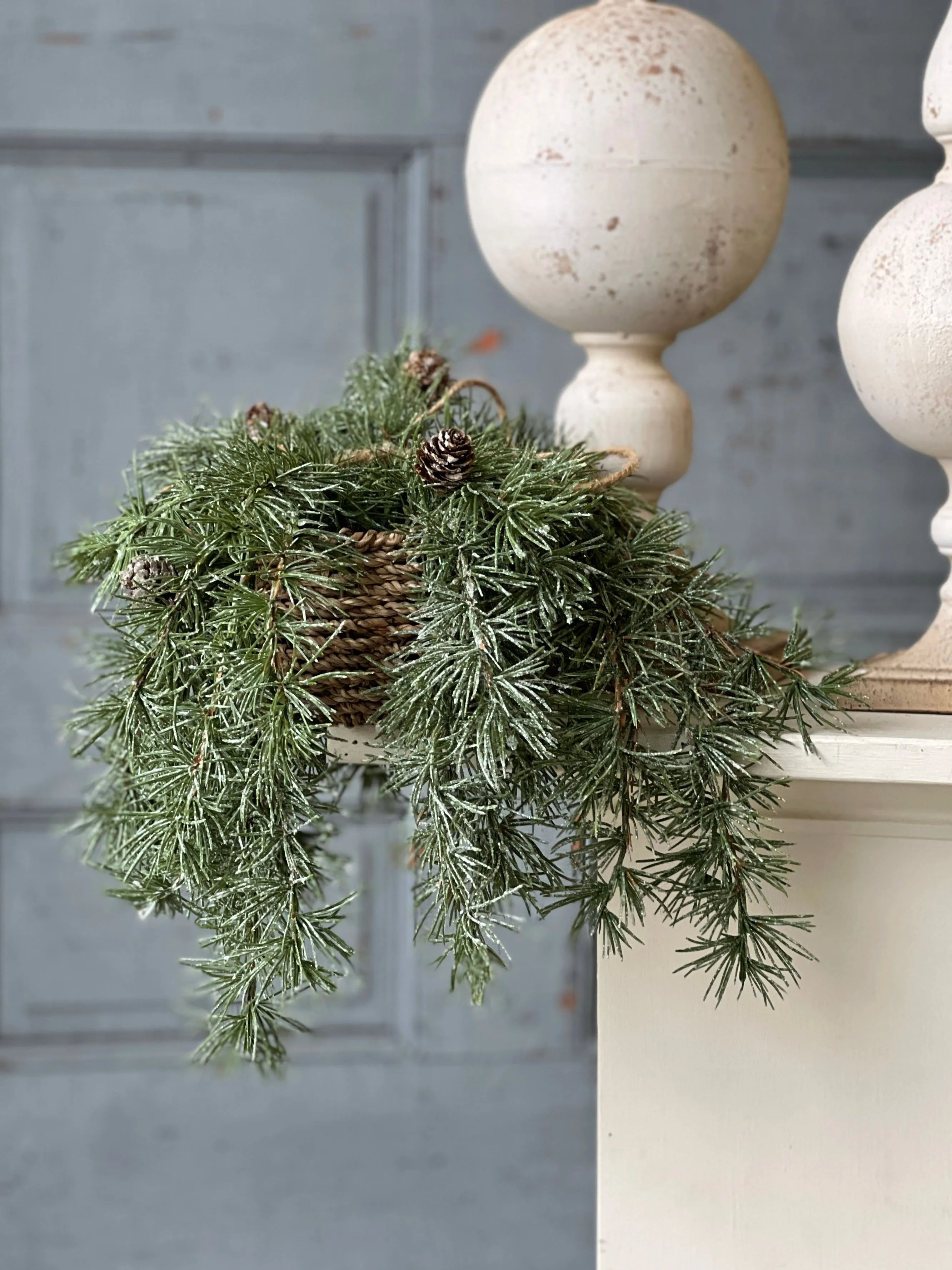 Shining Spindle Pine Hanging Basket | 13"