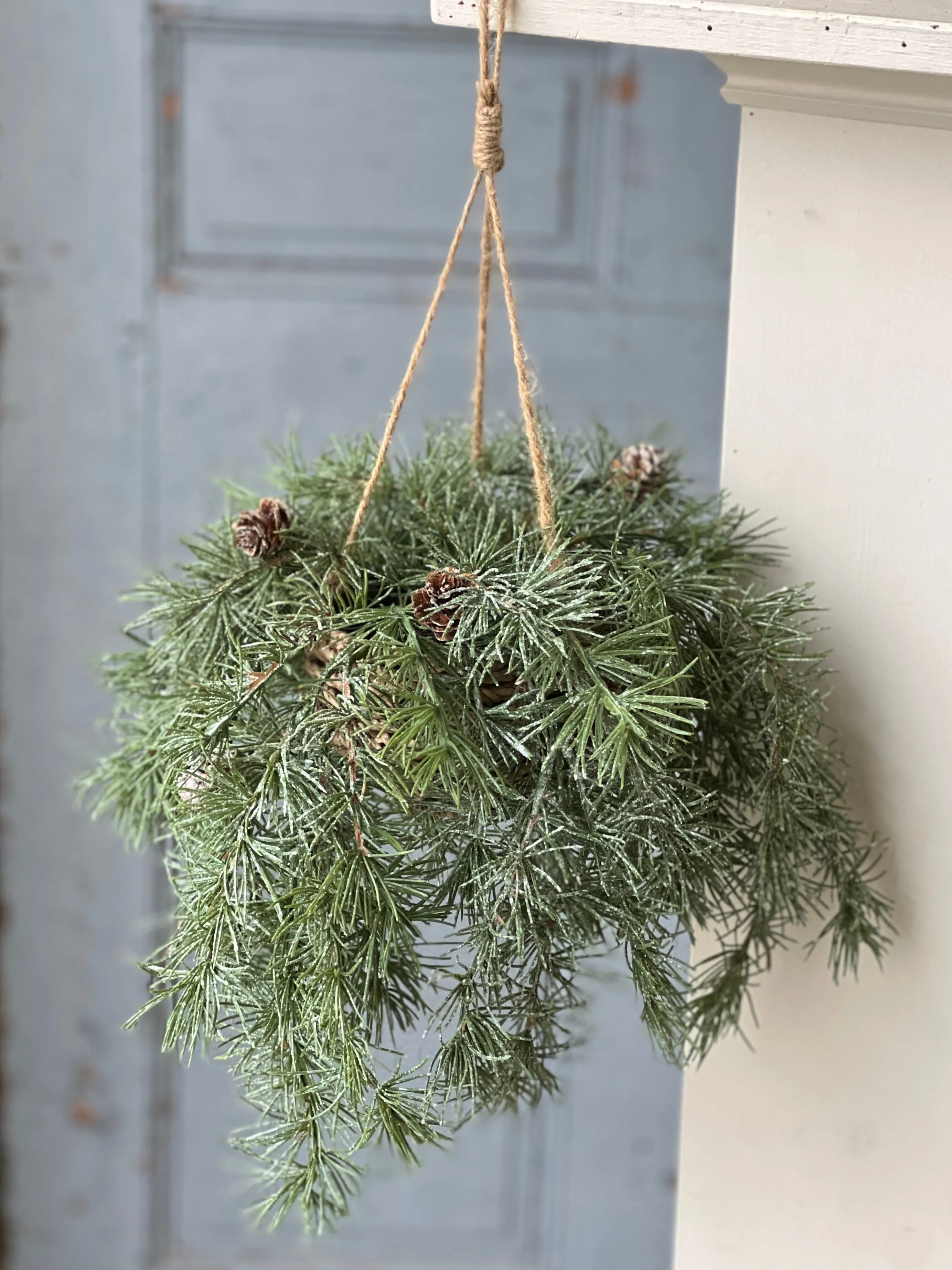 Shining Spindle Pine Hanging Basket | 13"