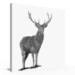 Staggered 80cm x 80cm EU