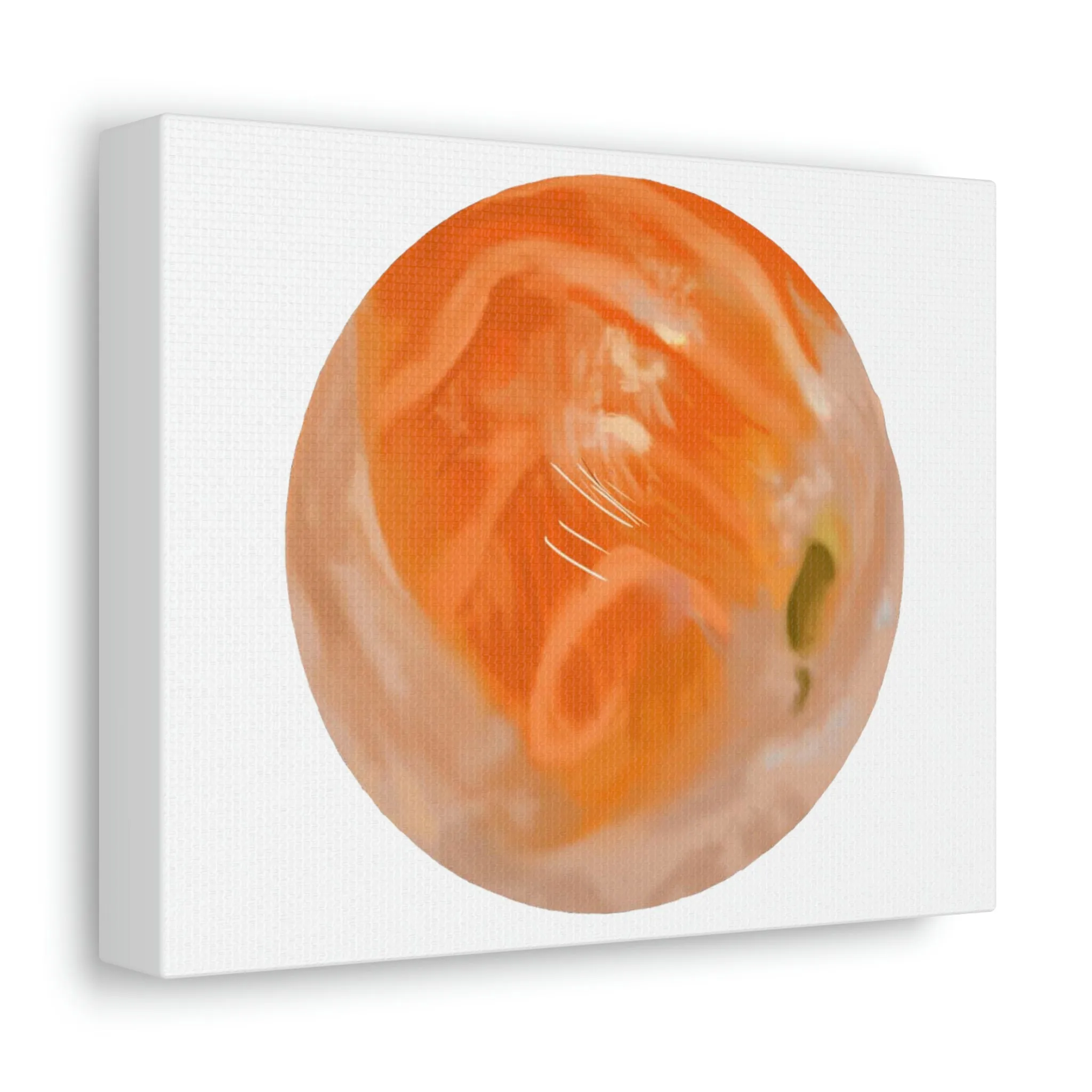 Sushi Stretched Canvas