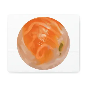 Sushi Stretched Canvas
