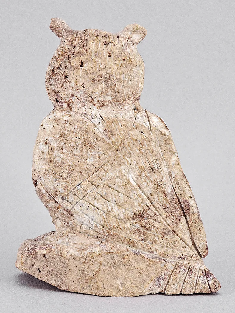 Visionary Owl of Cerrillos Turquoise