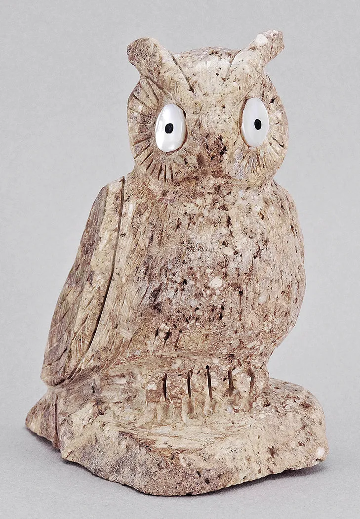 Visionary Owl of Cerrillos Turquoise