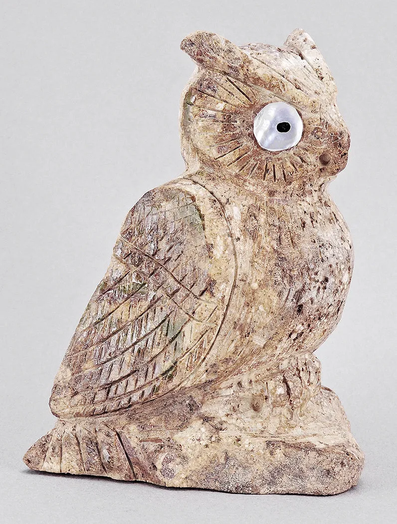 Visionary Owl of Cerrillos Turquoise
